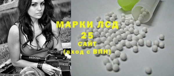 шишки Абинск