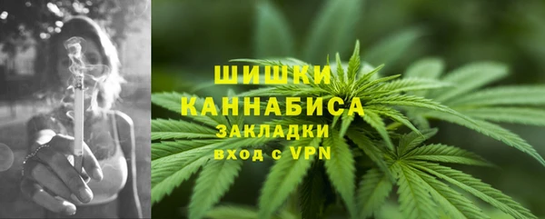 шишки Абинск