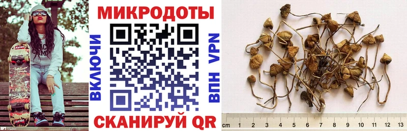 Галлюциногенные грибы Psilocybine cubensis наркотики Сим